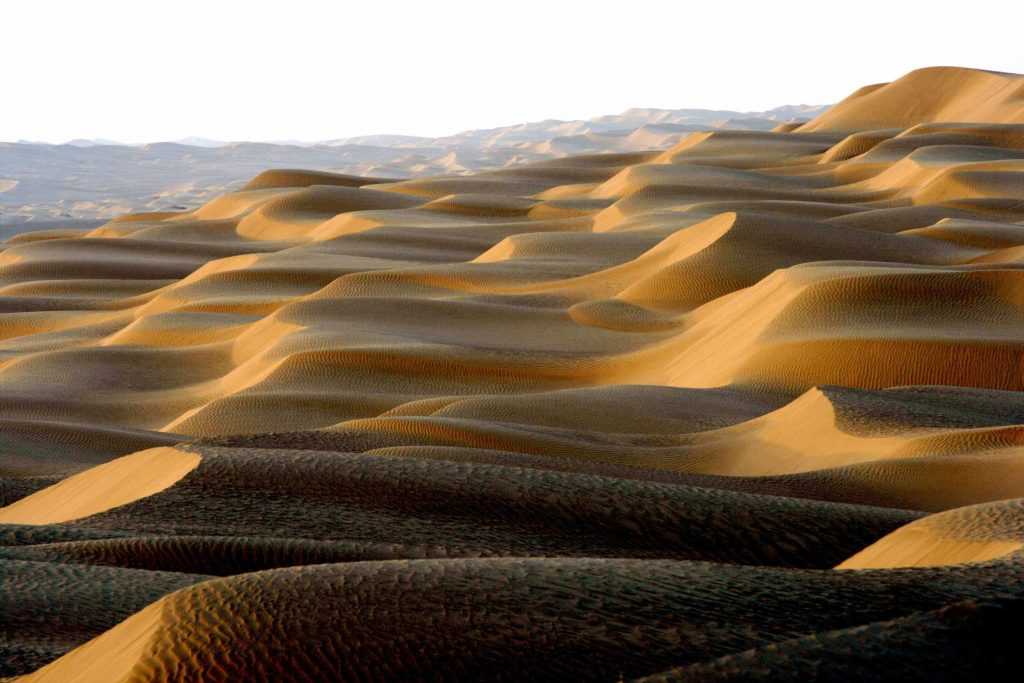 Пустыня гоби - вики