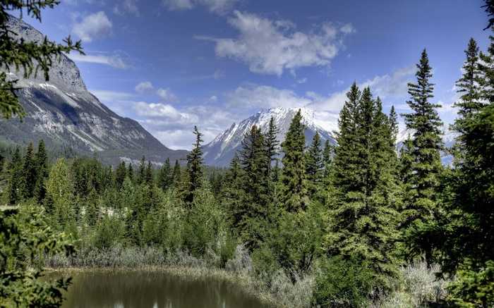 Дикая природа канады - wildlife of canada