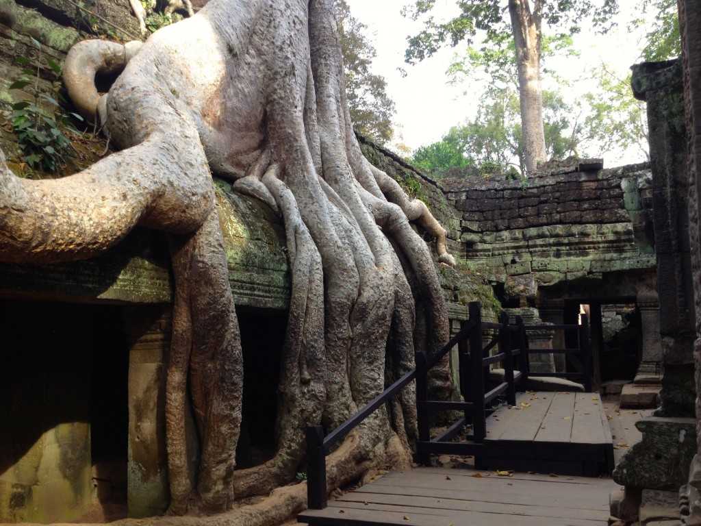 Храмы ангкора - реальные факты и вымысел