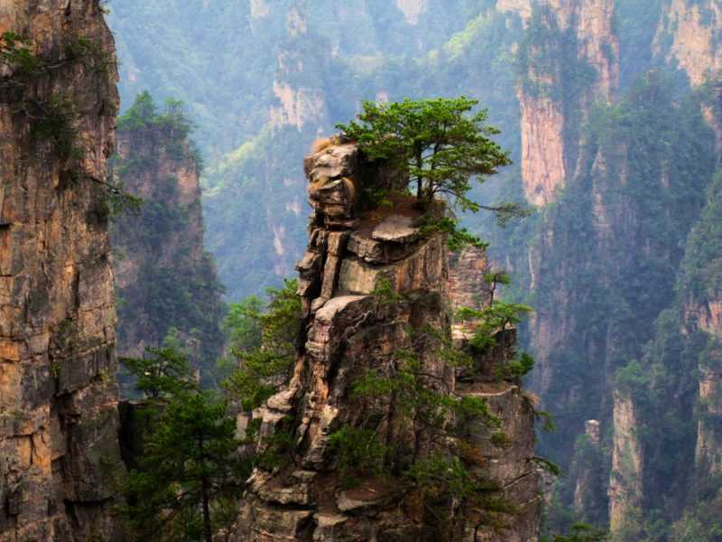 Национальный парк чжанцзяцзе, китай — обзор