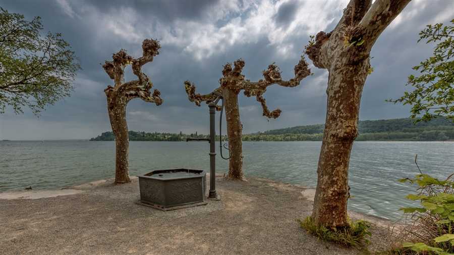 Самые красивые озера германии: 10 незабываемых мест, которые покоряют с первого взгляда