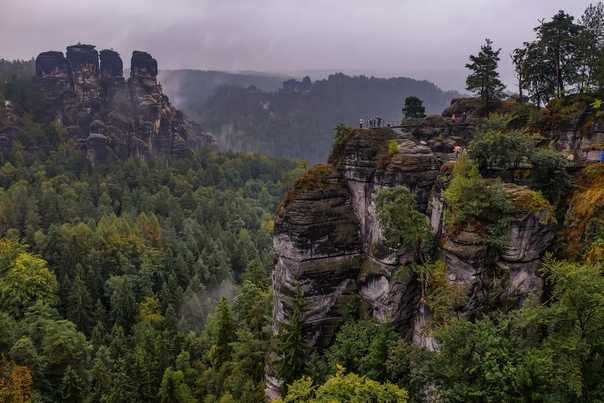 Популярные национальные парки и заповедники в германии