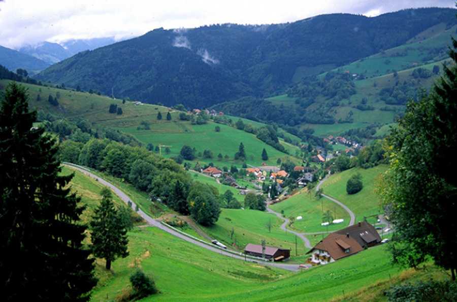 Баварский лес: достопримечательности, активный отдых, отзывы туристов, рестораны, маршруты
