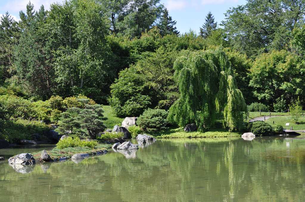 Монреальский ботанический сад
