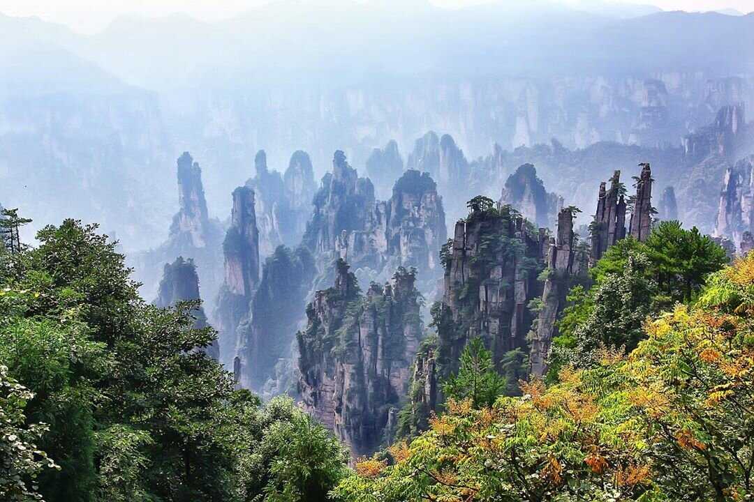 Чжанцзяцзе национальный парк – гора аватар | чайна хайлайтс
