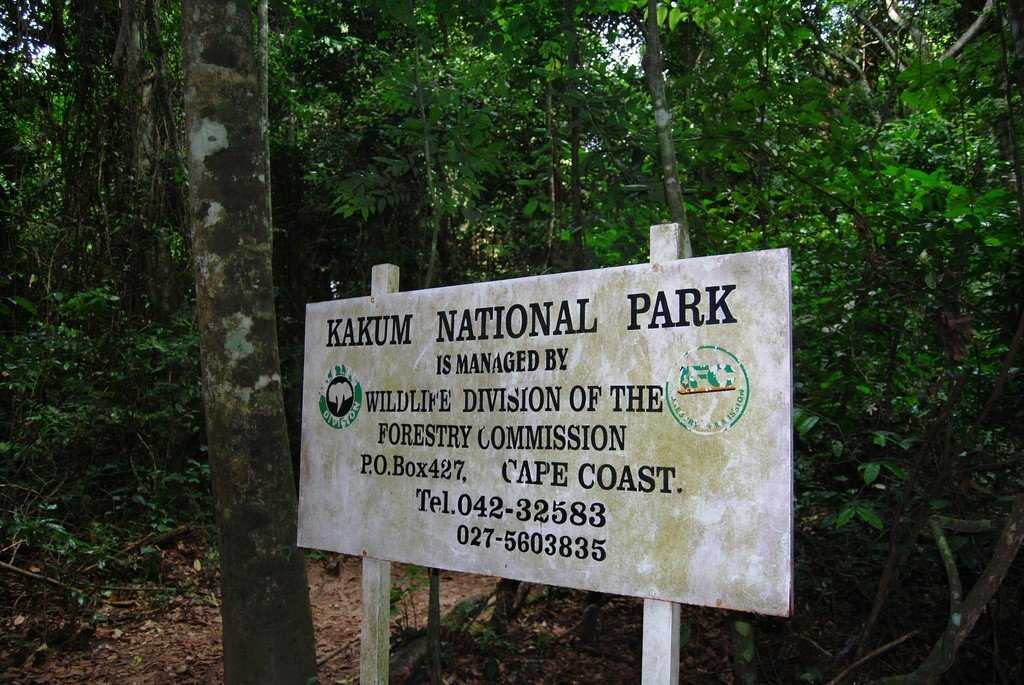 Национальный парк какум - википедия