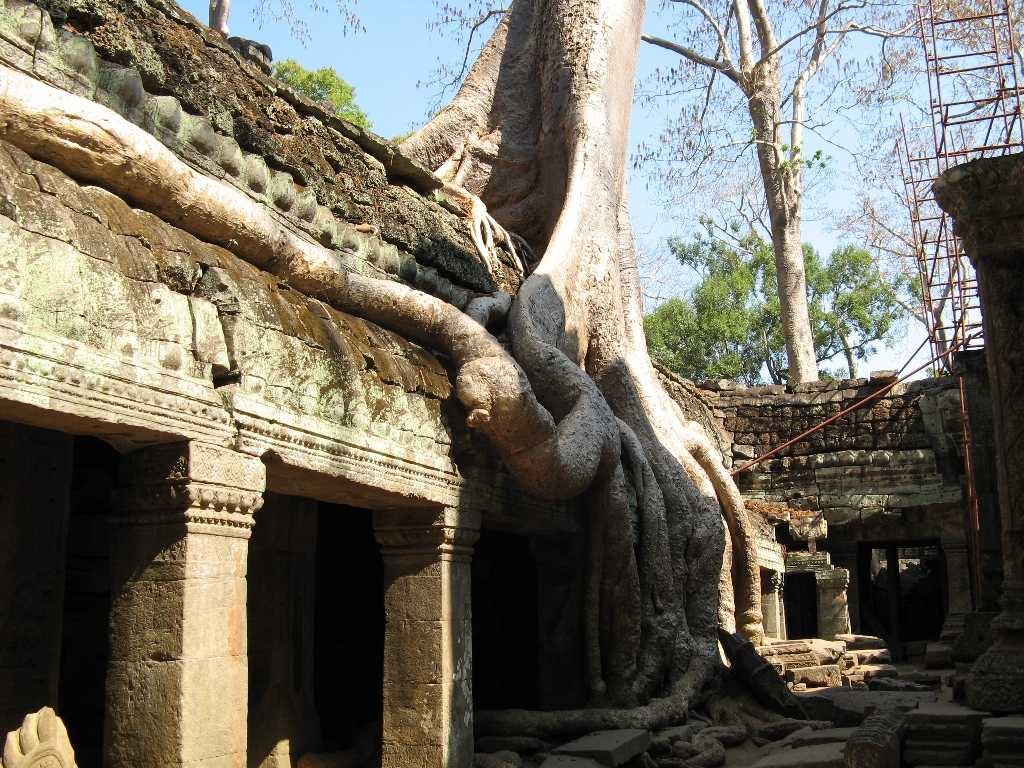 Ангкор ват (angkor wat)