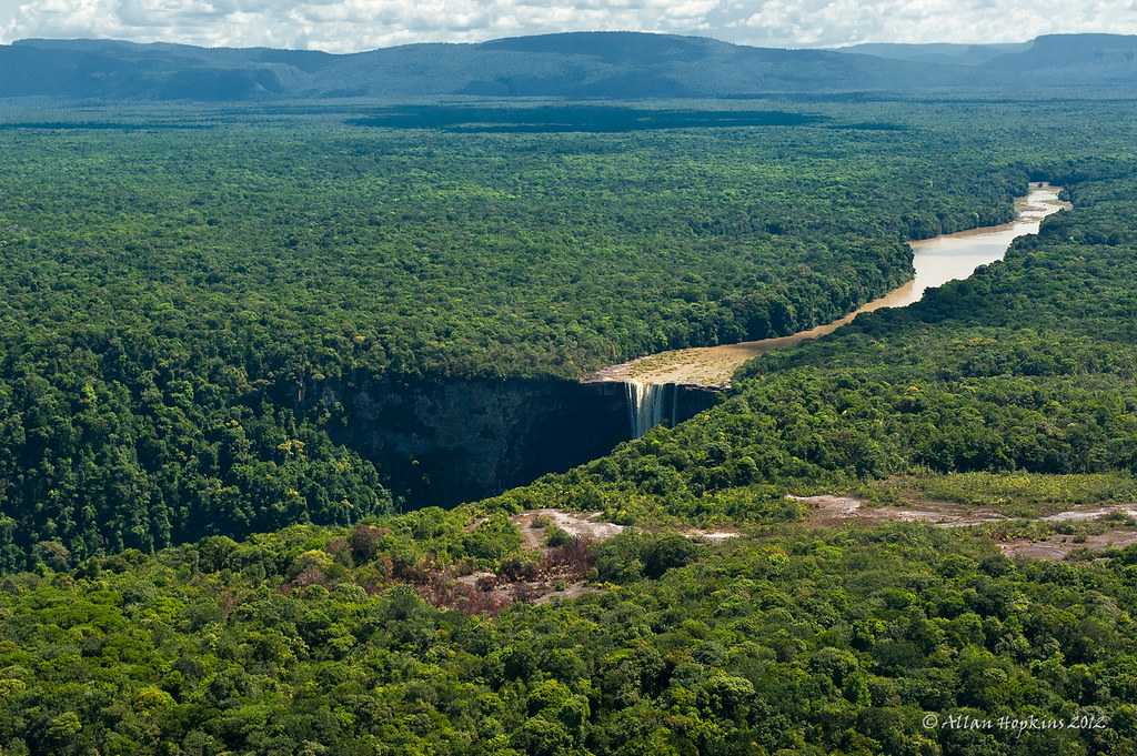 Водопад Кайетур – один из самых мощных водопадов нашей планеты, расположенный на территории западной Гайаны, неподалеку от границы с Венесуэлой.