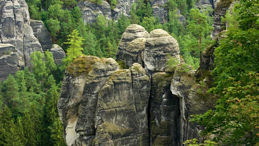 Саксонская швейцария (национальный парк) - вики