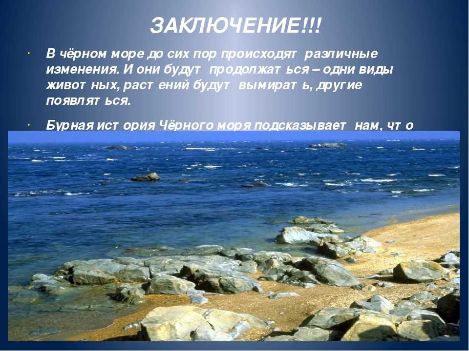 Дно черного моря