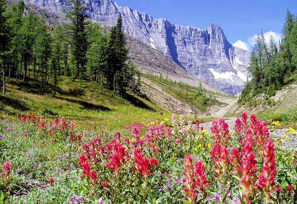 30 знаменитых национальных парков канады
