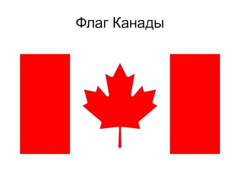 Флаг канады история и значение / общая культура | thpanorama - сделайте себя лучше уже сегодня!