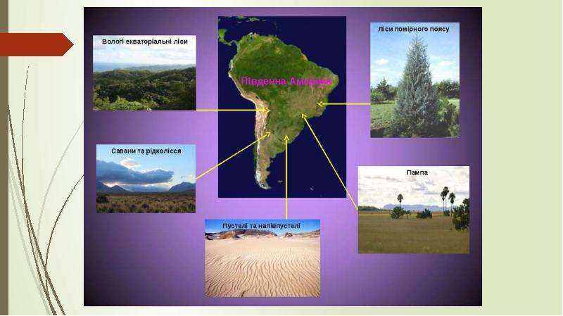 Какие природные зоны есть в южной америке — описание, климат, почвы, животные и растения