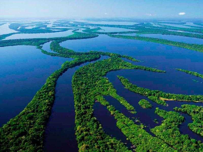 Фото Бассейна Амазонки Большая галерея качественных и красивых фотографий Бассейна Амазонки, которые Вы можете смотреть на нашем сайте