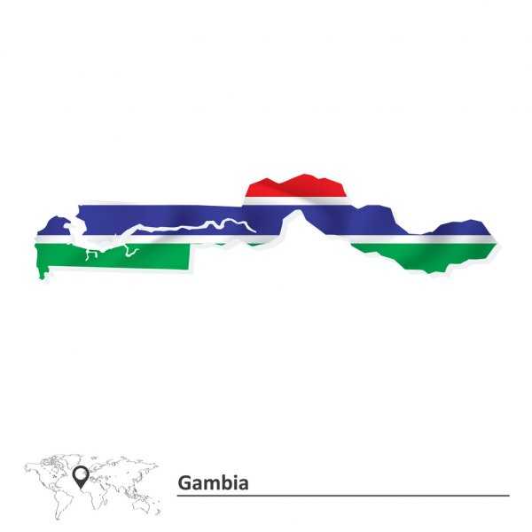 Флаг гамбии