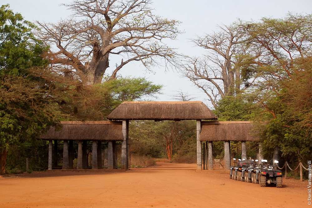 Гамбия: африка для начинающих
