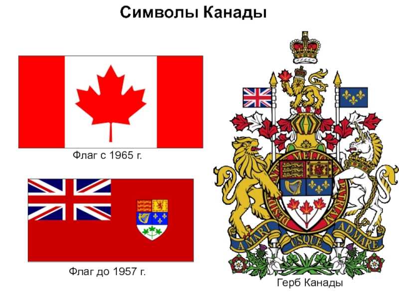 Флаг канады: фото, цвета, значение, история
