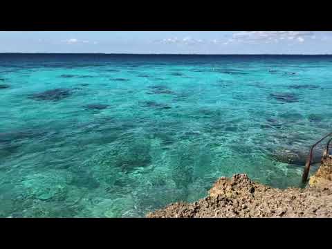 Подборка видео про Карибское море (Куба) от популярных программ и блогеров Карибское море на сайте wikiwaycom