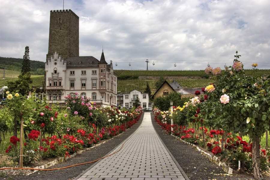 Достопримечательности германии: старинные и неприступные замки, потрясающая архитектура и величественная природа — staff-online