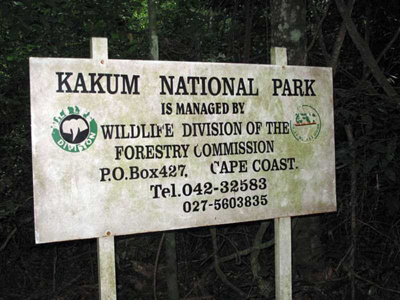 Национальный парк Какум – самый молодой природный резерват Ганы, предлагающий туристам посмотреть на красоты дождевого леса и его обитателей с навесных мостиков, проложенных на высоте 30-40 м над землей.