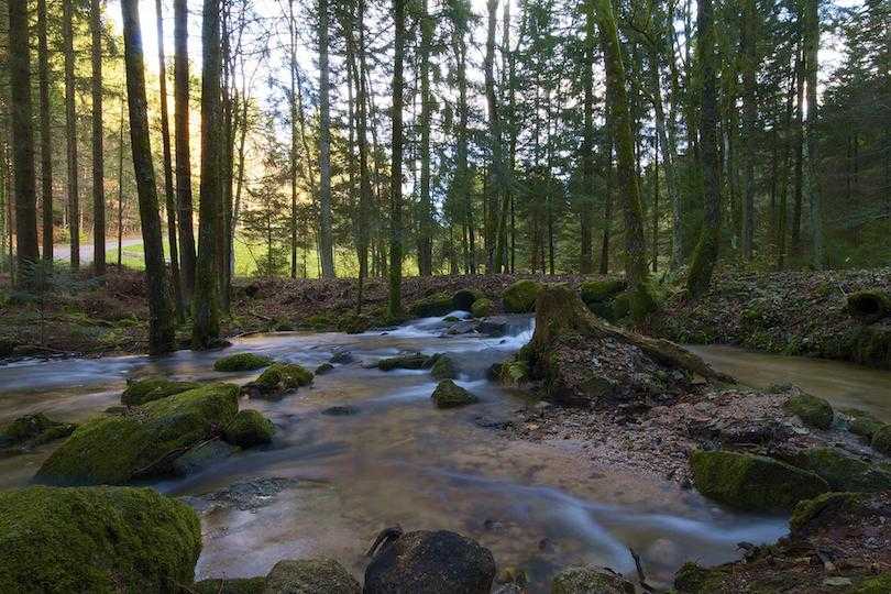 Шварцвальд (германия) ℹ️ где находятся черные леса, фото, достопримечательности, экскурсии, отзывы