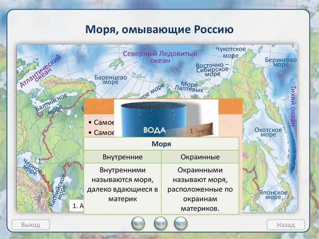 Моря россии, омывающие территорию страны: карта и список