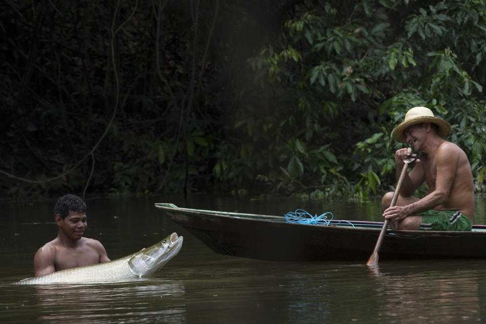 Интересные факты об амазонке