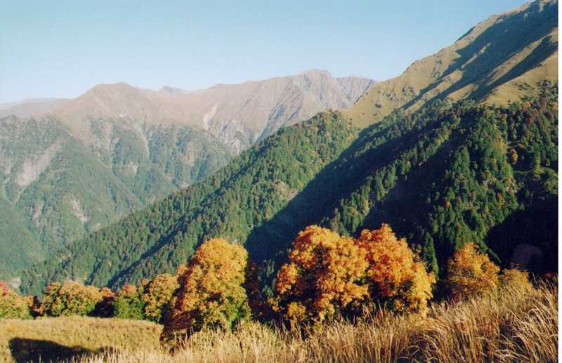 Национальный парк боржоми-харагаули, грузия. отели рядом, фото, видео, как добраться — туристер.ру