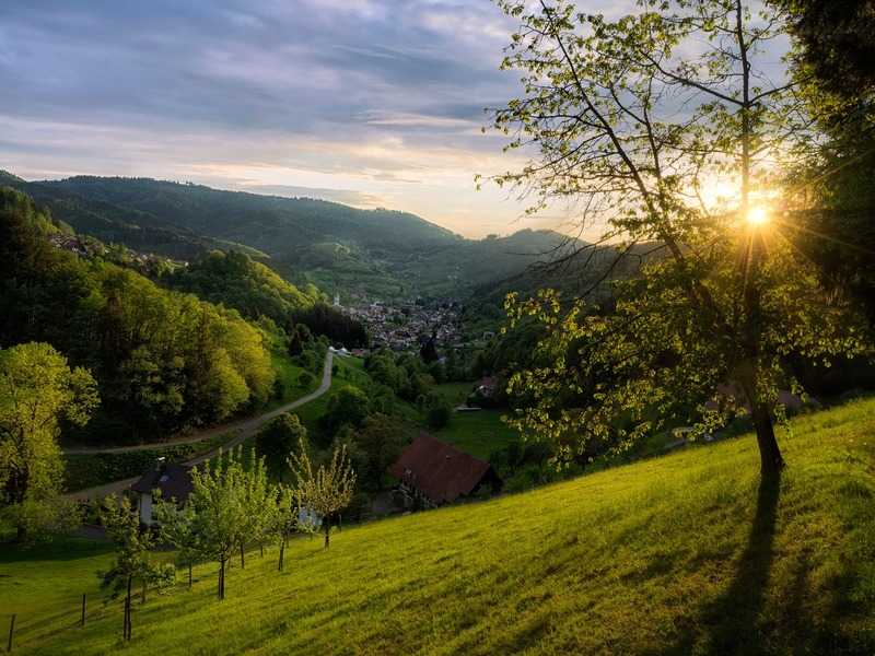 Баварский лес в германии - волшебное место единения с природой