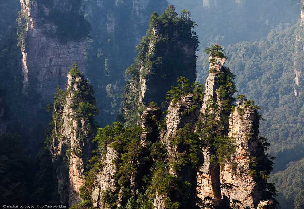 Национальный парк чжанцзяцзе — гордость китая