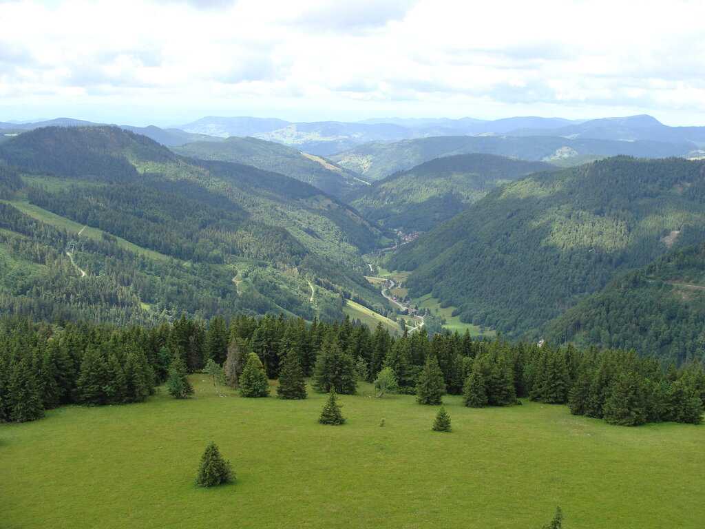 Шварцвальд (schwarzwald) в германии: фото, описание чёрного леса, карта, что посмотреть