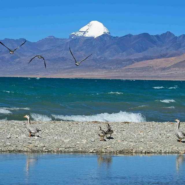 Озеро манасаровар: священное озеро в западном тибете - чудеса тибета