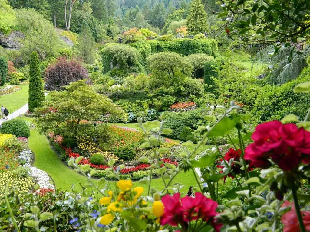 Лучшие ботанические сады мира - 2021 travel times